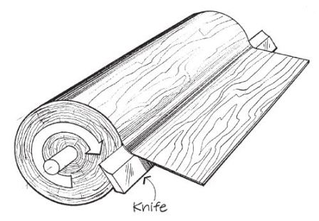 VENEERS & HIGHLIGHTERS