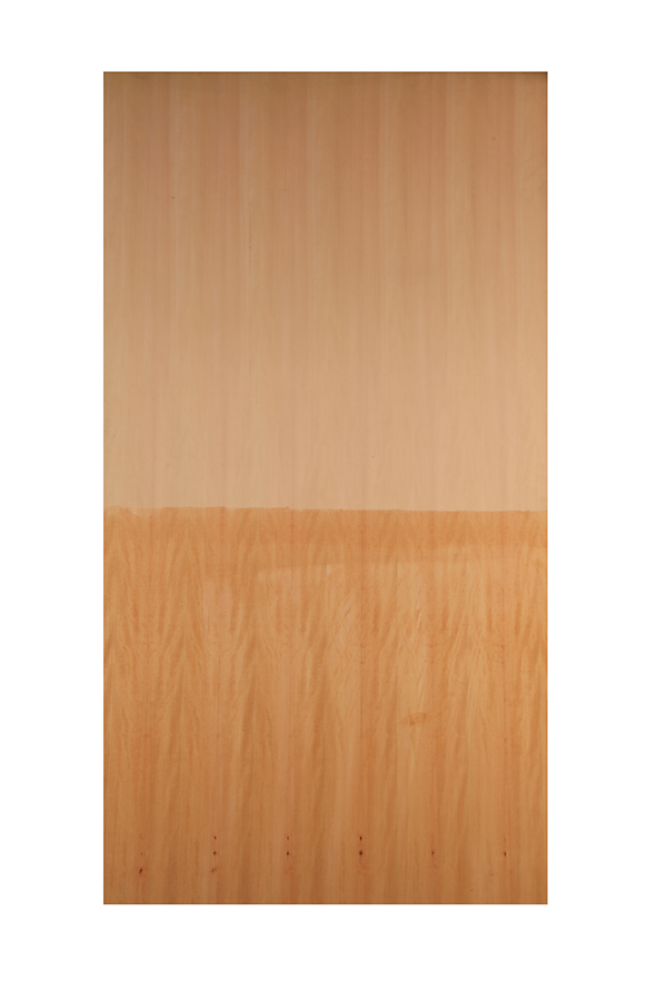 SAPGUM GN37 (2.14X1.22) 7802