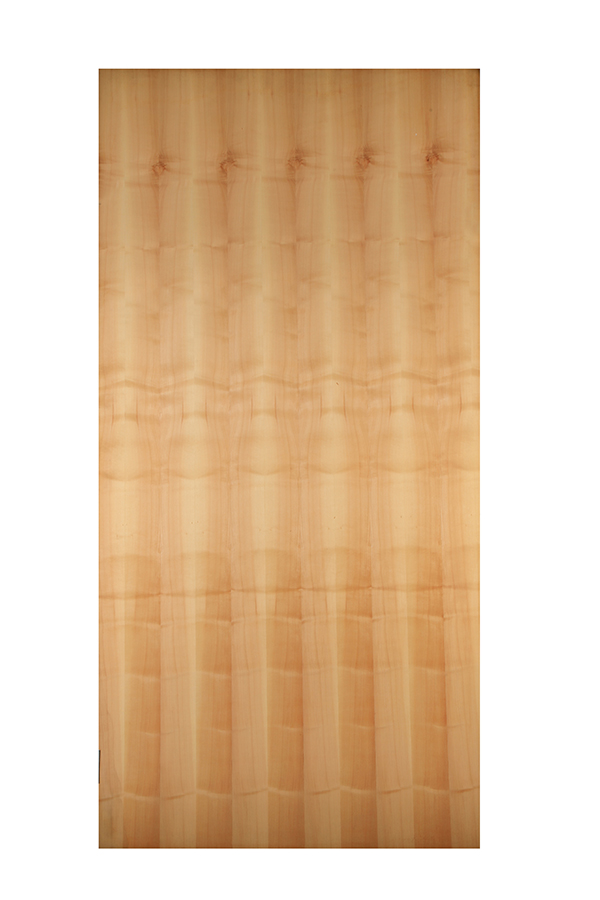 AM MAPLE GN-380 (2.44X1.22) 7737