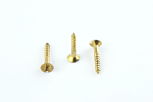 BHAWANI 20X5 SCREW BRASS 1671