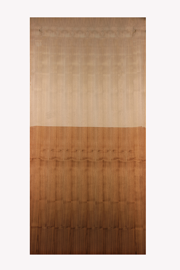 AMERICAN WALNUT QTR CUT GP-13 (2.44X1.22) 7609