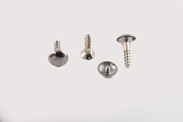 BHAWANI MIRROR SCREW 3/4INCH 0102