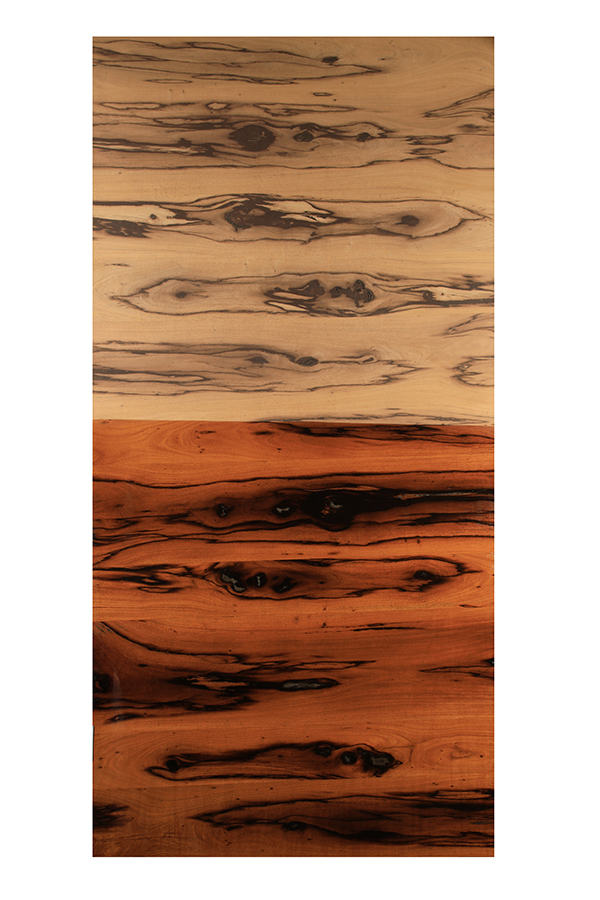 YELLOW EBONY GN160 (2.44X1.22) 7864