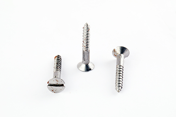 BHAWANI 30X8 SCREW 1670