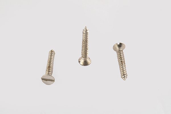 BHAWANI 25X6 SCREW CP/CSK 1050