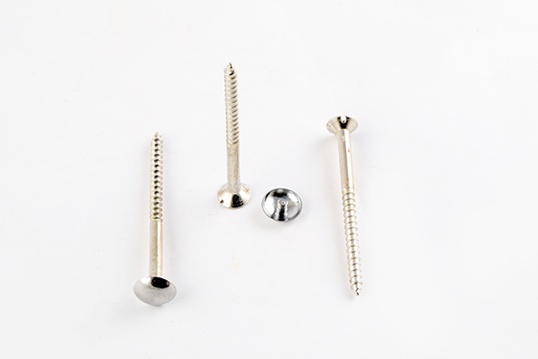 BHAWANI MIRROR SCREW 2.5INCH 6641