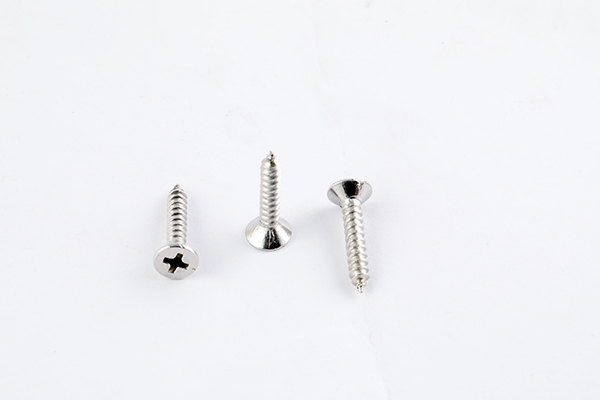 PHILIPS STAR SCREW 19X6 PURE SS 6732
