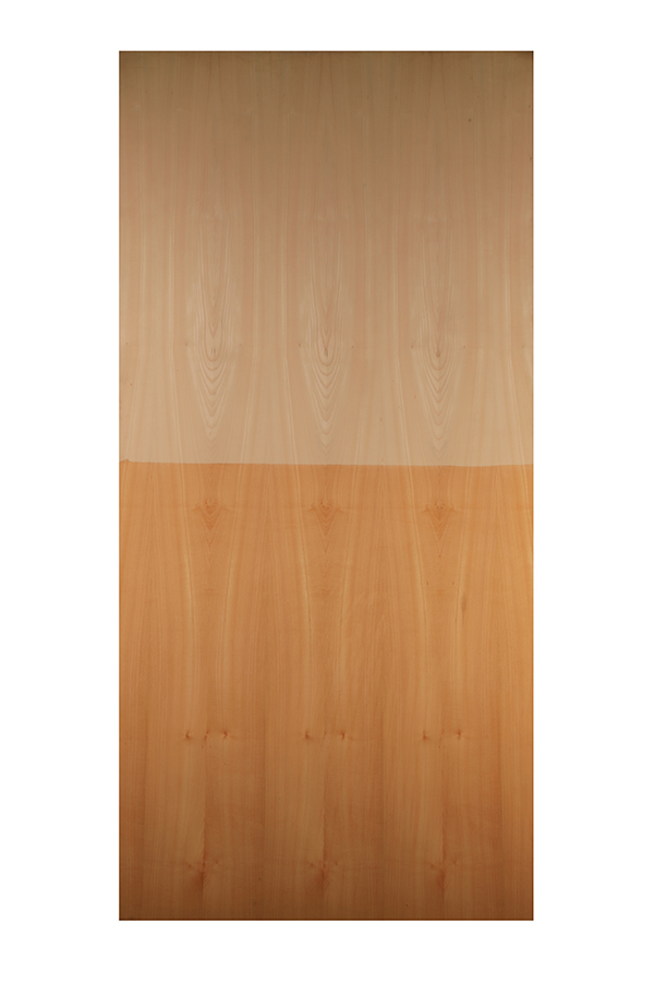 WEATHERED SYCAMORE GN46 (2.44X1.22) 7806