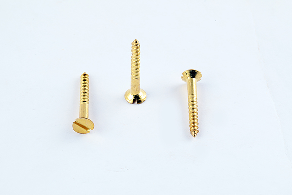 BHAWANI 30X7 SCREW BRASS POLISH 1672