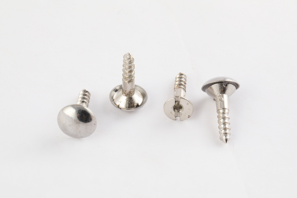 BHAWANI MIRROR SCREW 1INCH 1058