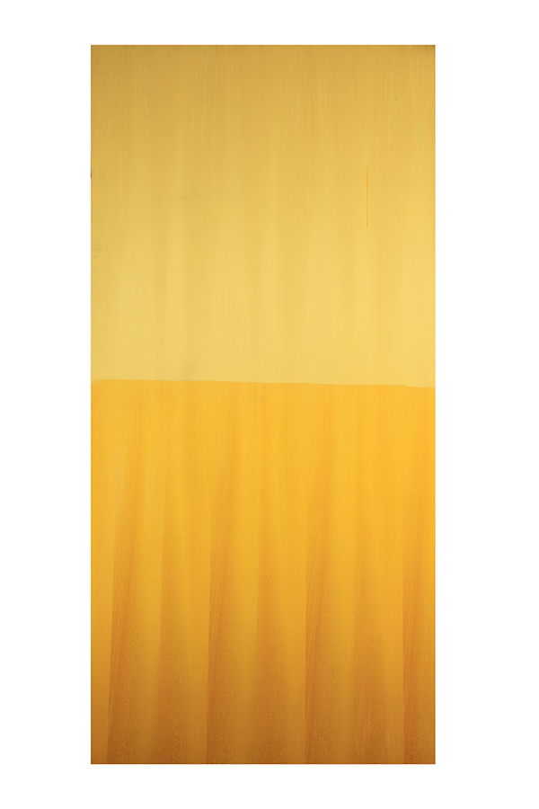 ECOFRIENDLY PAMA DANDELION GN19 (2.44x1.22) 7752