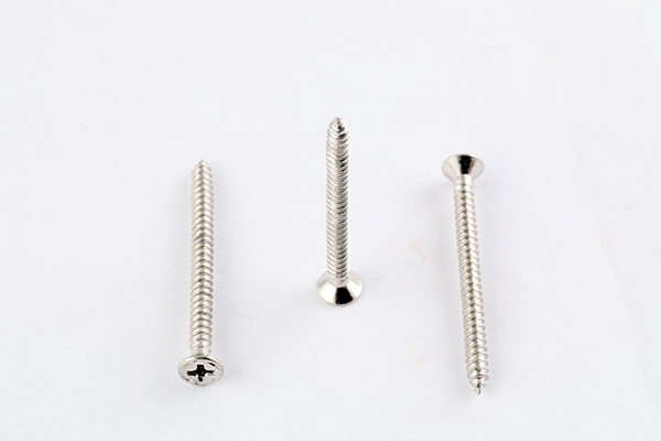 PHILIPS STAR SCREW 50X8 PURE SS 6729
