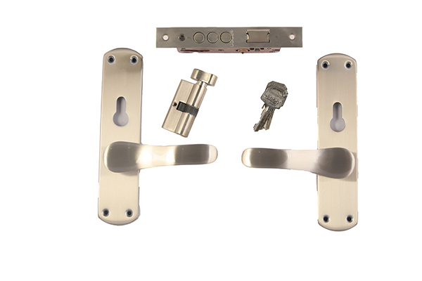 MORTICE HANDLE LOCK AMH454 CY SS/NS 12471