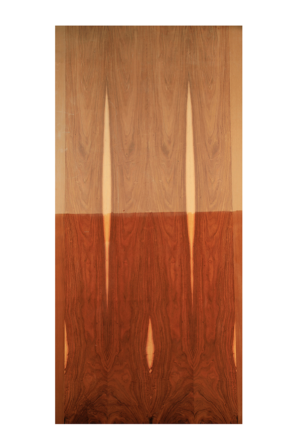 MOUNTAIN SANTOS GP-9 (2.44X1.02) 7670