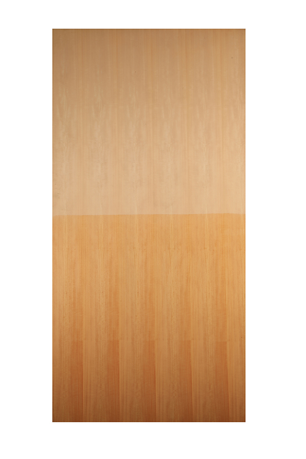 FIGD ANEGRE GN157 (2.44X1.22) 7754