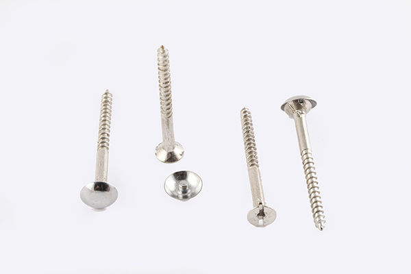 BHAWANI MIRROR SCREW 2INCH 5316