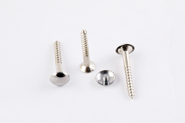 BHAWANI MIRROR SCREW 1.5INCH 1057