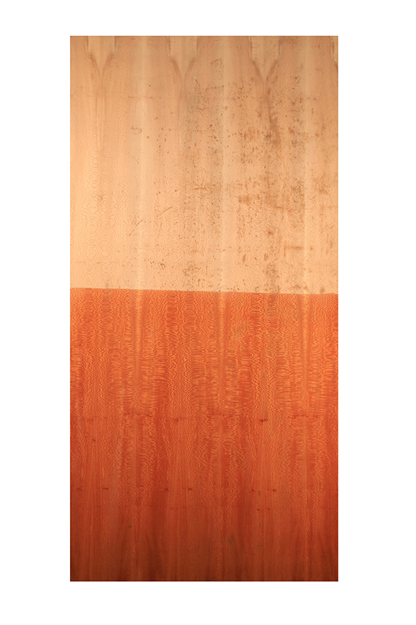 PLANTREE  FLACKS GN-39 (2.44X1.22) 7799