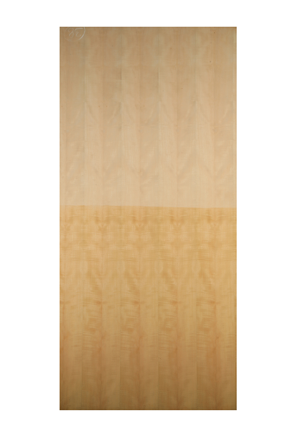 FIGD ASH GN62 (2.44X1.22) 7756